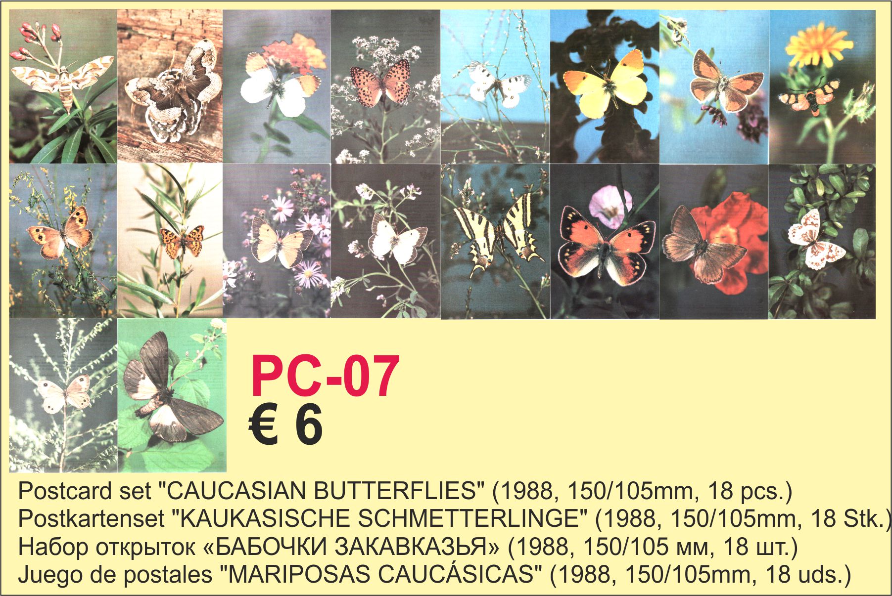 Postcards Butterflies 18x